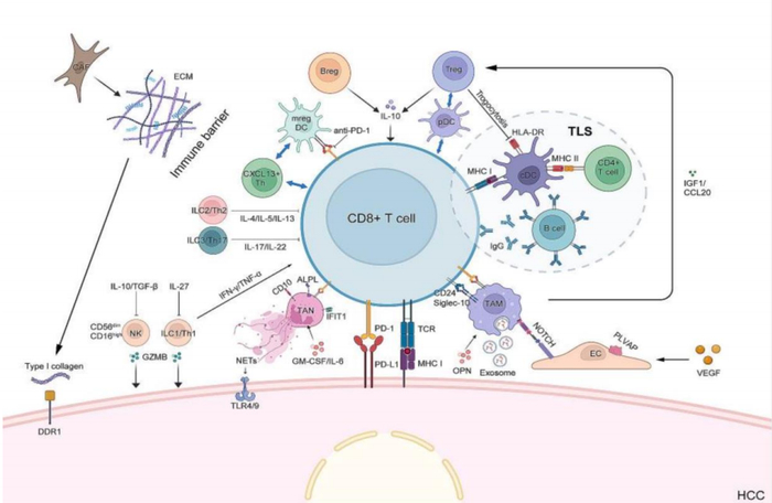资料来源：J Hematol Oncol