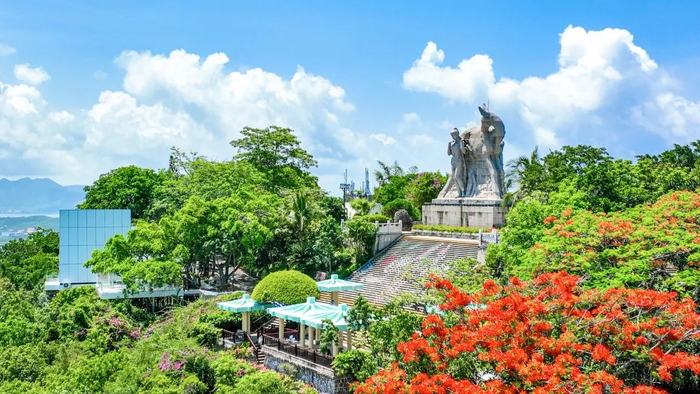 三亚的凤凰花。图源：三亚市旅游发展局