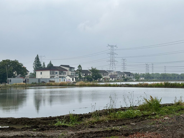 栖息地毗邻张马村，周边有大片水域。澎湃新闻记者 陈悦 图