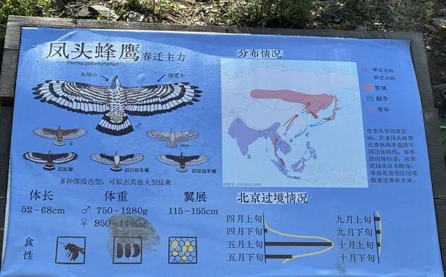 观鸟点的科普牌