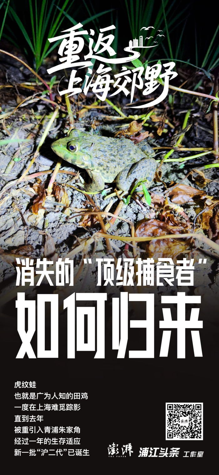 郁斐 海报设计