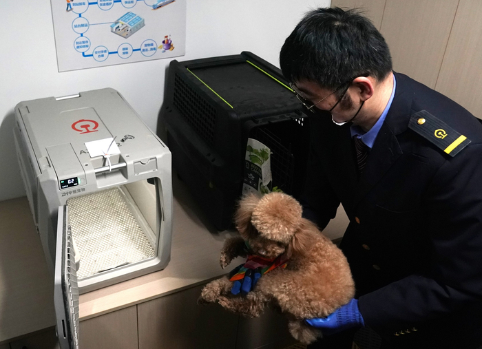 　　2025年4月10日，在北京南站，工作人员将宠物狗放入高铁专用宠物运输箱。 新华社记者 张晨霖 摄