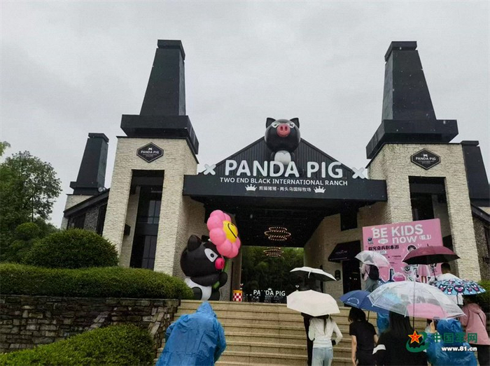 金华熊猫猪猪两头乌国际牧场。