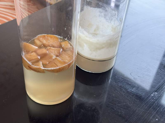 两种酵母宠物，鲁邦种（右）和苹果酵液。新京报记者 耿子叶 摄