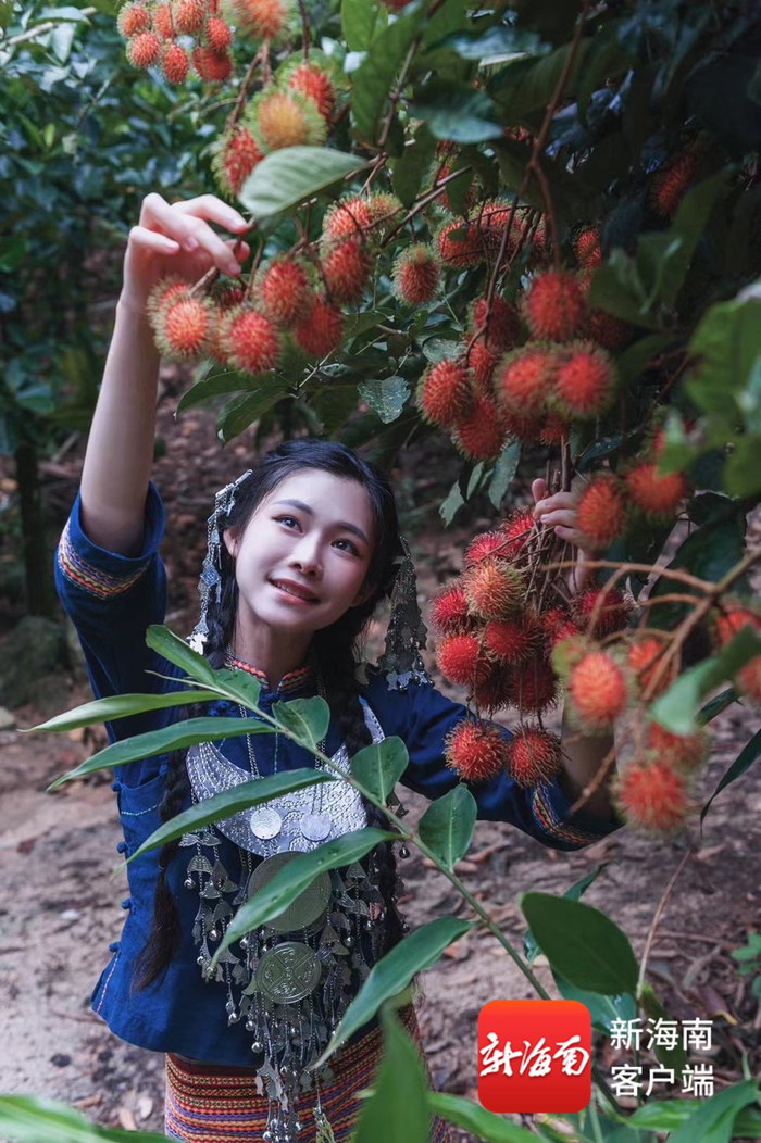 吉美莹采摘保亭红毛丹。受访人供图