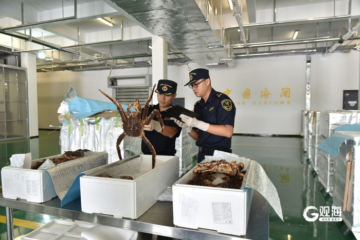 海关关员对一批进口帝王蟹实施现场查验。 李子雄 摄