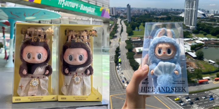 图源：小红书@张挺好、小红书@坡坡不坡坡