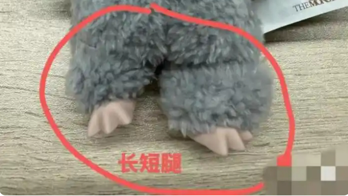 截图来源|小红书（特此感谢！）