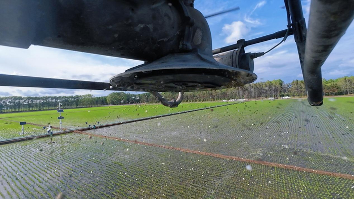 肥料匀量、精准地被无人机撒入田间（央广网发李晟摄）