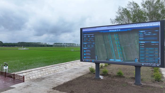 田间的智慧水利平台大屏（央广网发李兴摄）