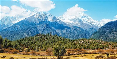 在吉隆，高山雪峰和原始森林绘就一幅自然画卷。　　何蓬磊摄