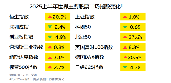 2025年上半年主要市场指数变化