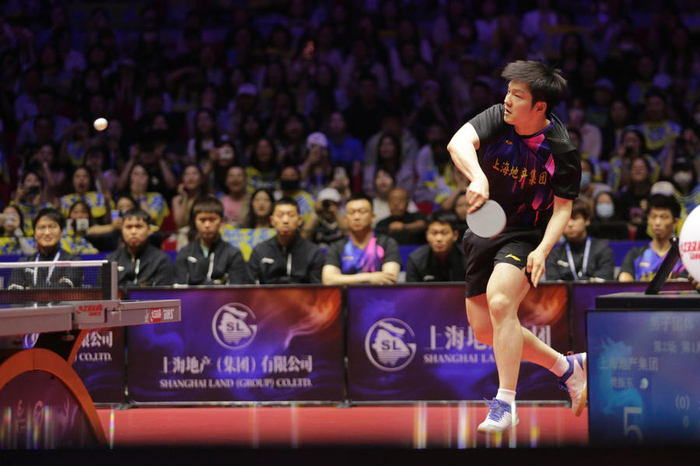 樊振东成为上海队的中流砥柱。
