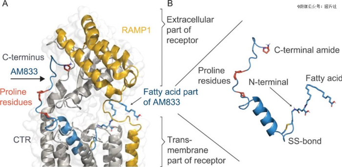 （图片来源：J. Med. Chem. 2021 , 64 , 15 , 11183-11194）
