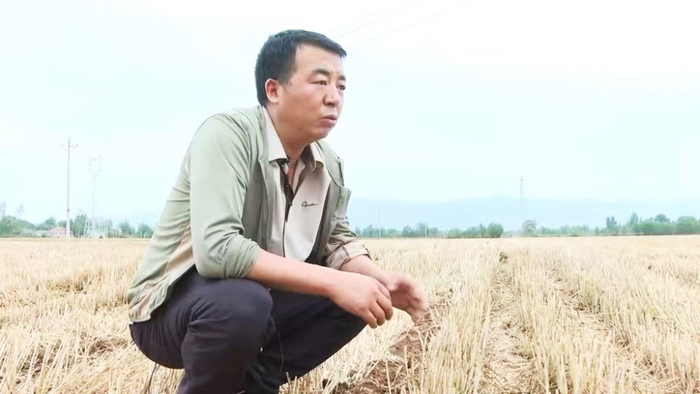 陕西省岐山县种粮大户杨晓飞在刚刚收完麦子的田间查看地况。受访者供图