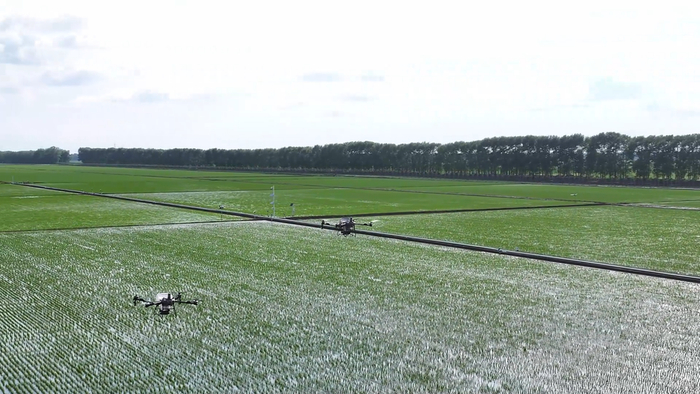 水稻田里无人机进行飞防作业（央广网发陈晓玉摄）