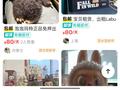 80元租一天 闲鱼出现大量卖家出租Labubu
