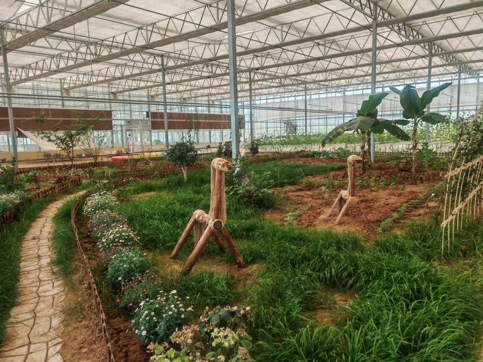 山乡集团花雨澜山农文旅融合示范基地。