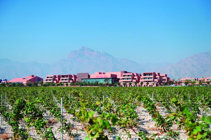 位于宁夏银川市的图兰朵葡萄酒小镇。 新华社记者 毛竹 摄