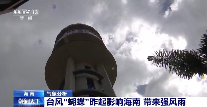台风蝴蝶百科_台风蝴蝶2019_
