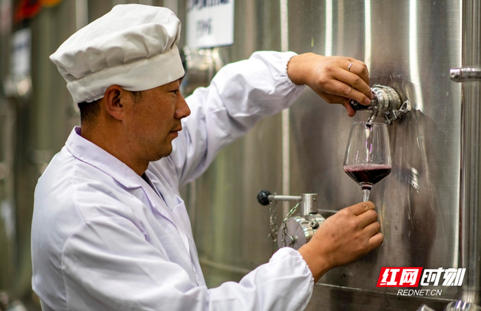 酿酒师正在取酒样。供图/山南市委宣传部
