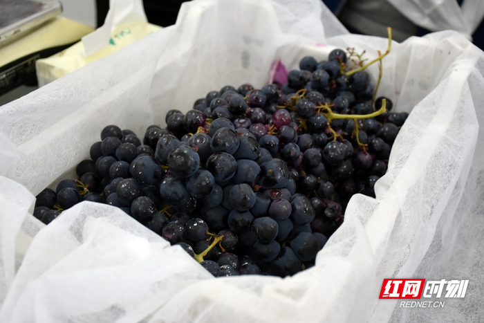 帕竹葡萄小镇出产的葡萄。摄影/符洹雨