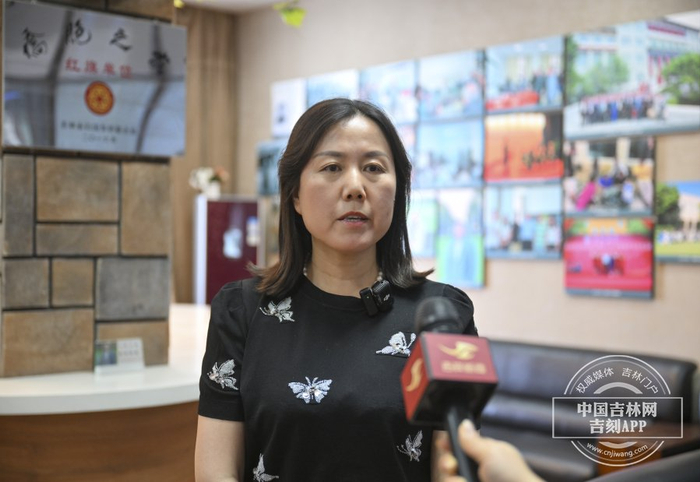 吉林大学地球探测科学与技术学院教授于平