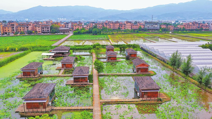 独具特色的荷花池民宿。