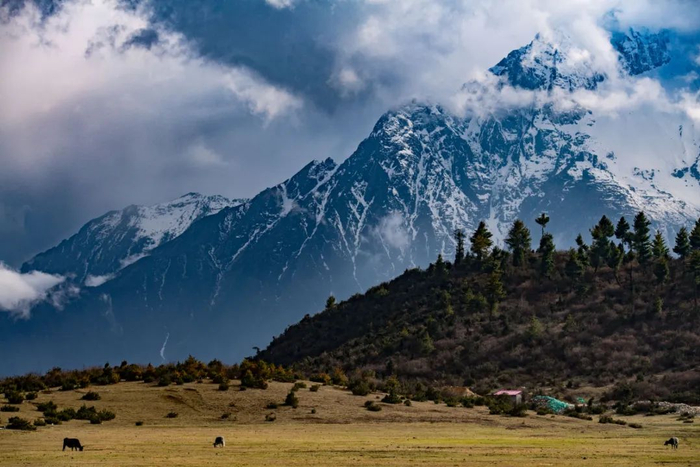 在吉隆，高山雪峰和原始森林绘就一幅自然画卷。何蓬磊摄
