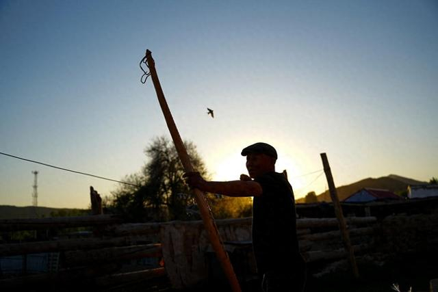 5月22日，在新疆阿勒泰市汗德尕特蒙古族乡汗德尕特村，铁木尔加甫测试制作好的弓箭。新华社记者 徐宏岩 摄