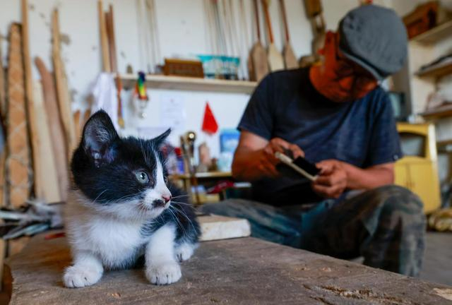 铁木尔加甫在工作室内挑选做箭的羽毛（5月22日摄）。新华社记者 王菲 摄