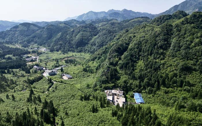 鸟瞰仙峰苗族乡方竹笋加工厂（王磊 摄）