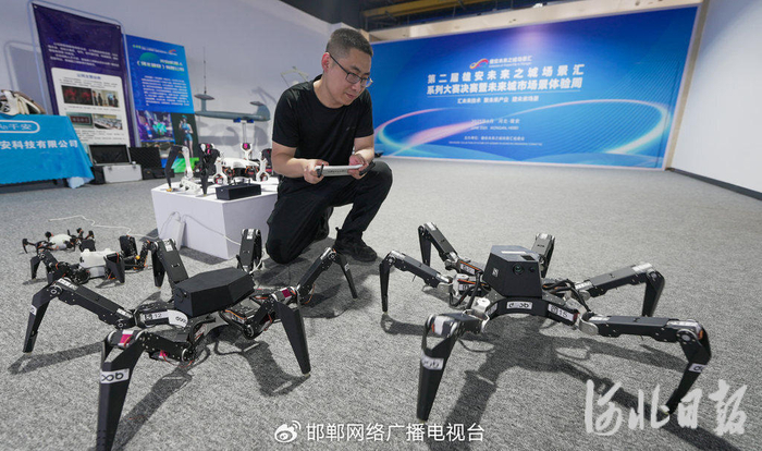 6月10日，雄安未来之城场景汇科创园二楼体验中心内，工作人员正在展示行动灵活的六足机器人。河北日报记者李畅摄