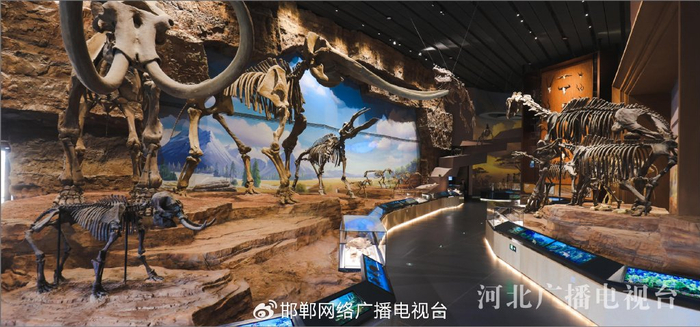 中国古动物馆（保定自然博物馆）