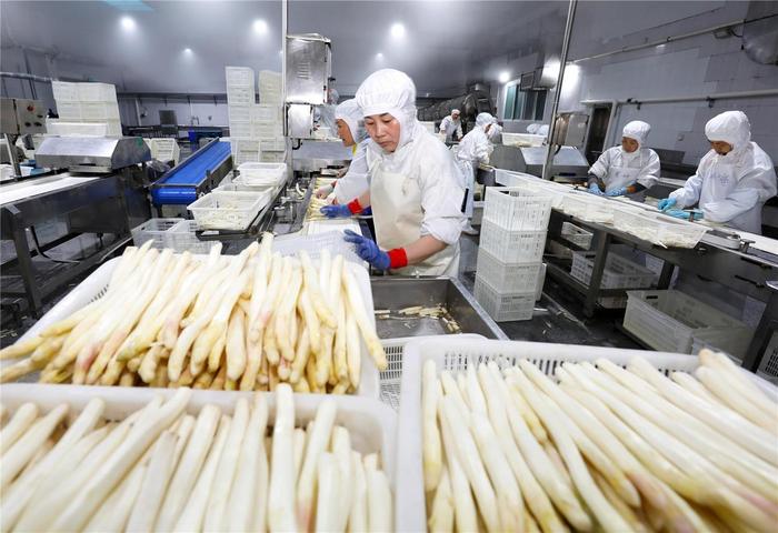 金融护航 外贸“破浪出海”