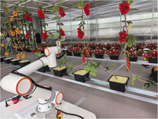 AI+多功能农业机器人。图片来源/无锡日报