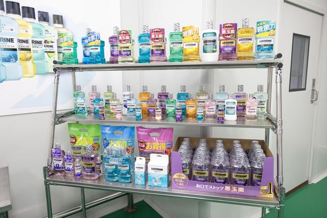 文汇报记者 范家乐 摄