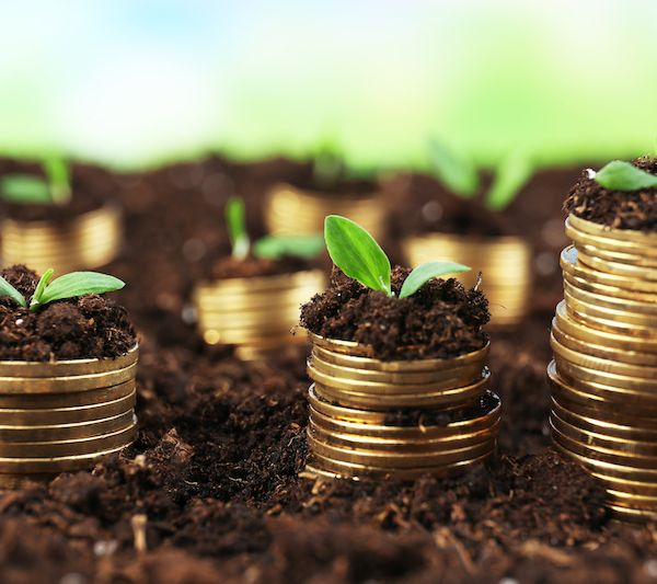 华夏时报（www.chinatimes.net.cn）记者 胡金华 上海报道