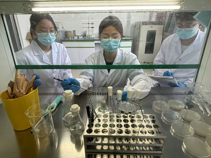 图1项目负责人陈小露演示微生物分离实验操作