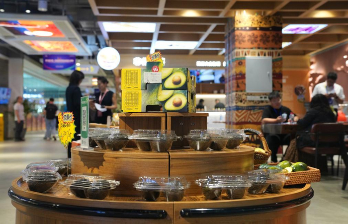 6月12日在长沙的中非经贸博览会常设展馆内拍摄的来自肯尼亚的牛油果。新华社记者 刘琼 摄