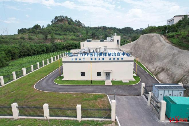 ▲中科奥格的DPF医用供体猪培育中心