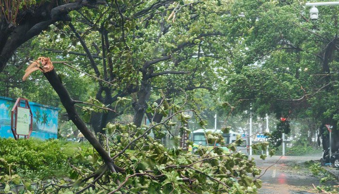 图片来源：受访者供图