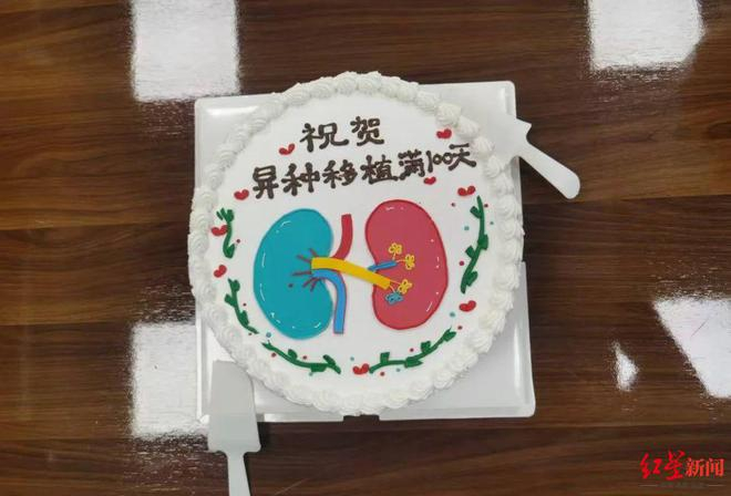 ▲异种移植满100天