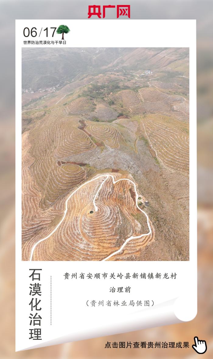 统筹：栾小琳