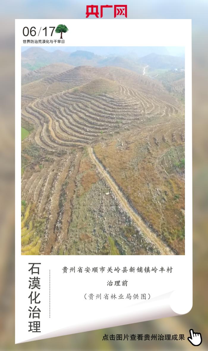 统筹：栾小琳
