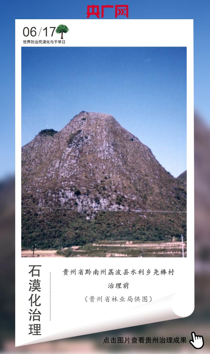 统筹：栾小琳