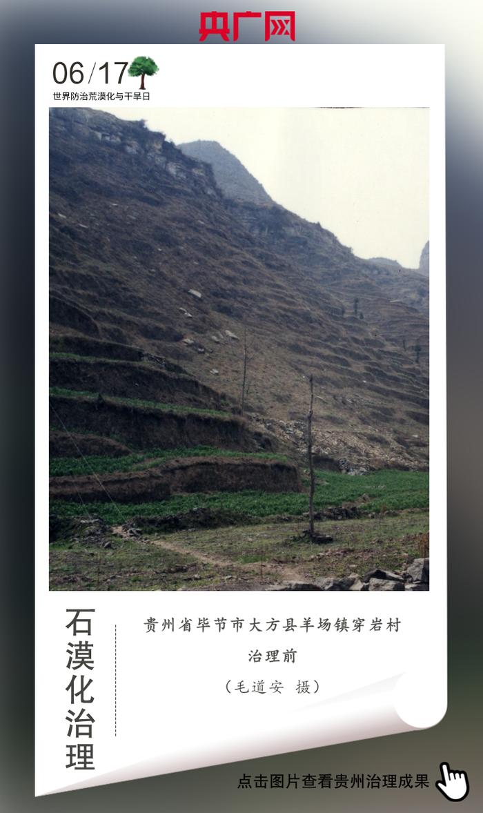 统筹：栾小琳