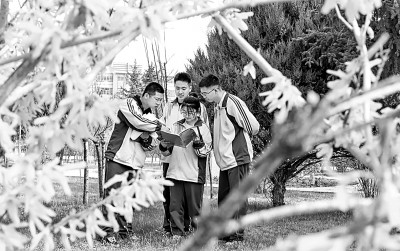     甘肃省张掖市第二中学，高三学生在宁静的校园中讨论功课。王将摄/光明图片