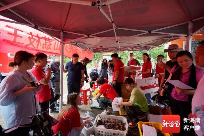 工作人员正在镇上的集中网点打包荔枝。海口市秀英区供图
