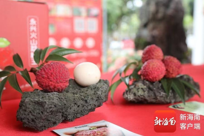 海口秀英火山荔枝。海口市秀英区供图